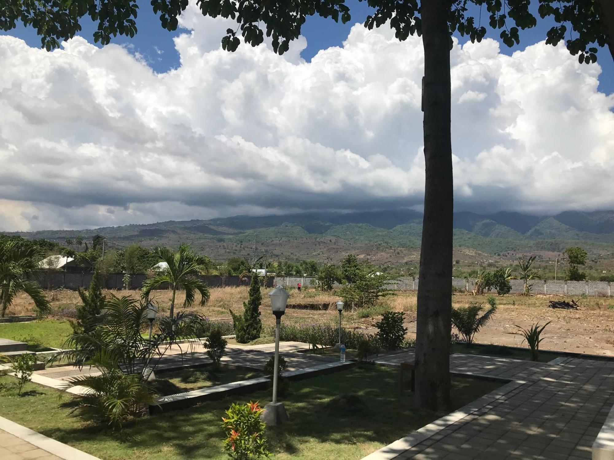 Pohon Purba Resort & Restaurant Labuhan Pandan Екстер'єр фото