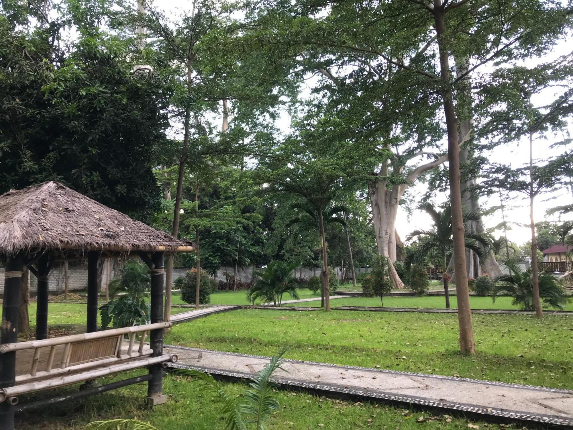 Pohon Purba Resort & Restaurant Labuhan Pandan Екстер'єр фото