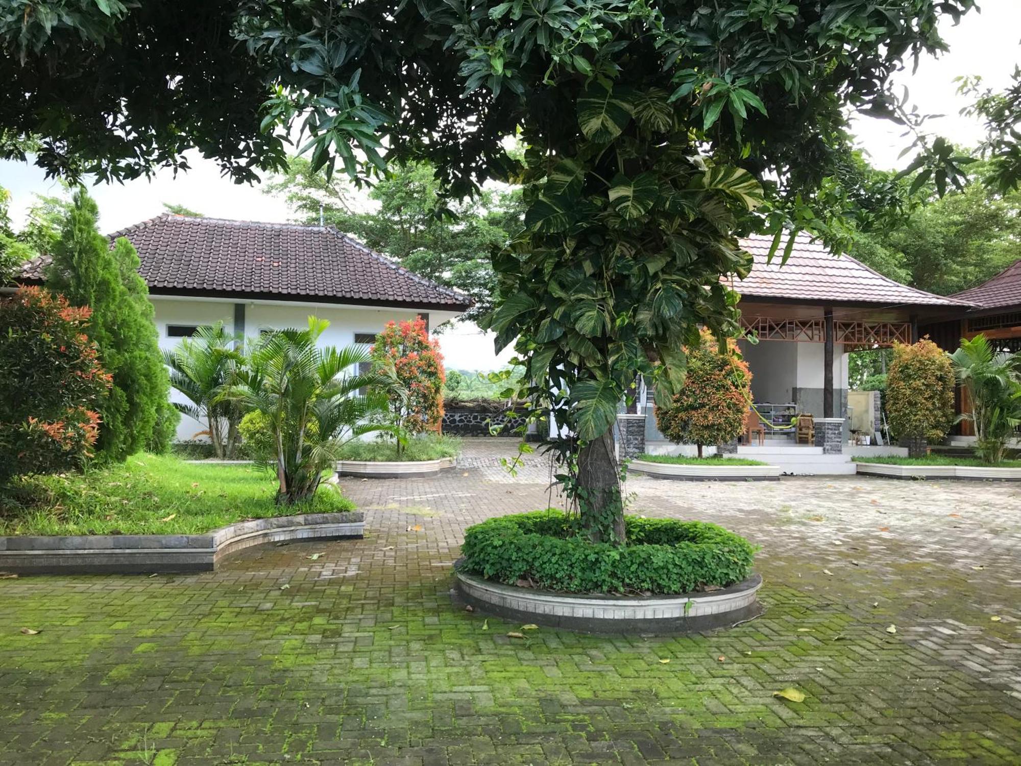 Pohon Purba Resort & Restaurant Labuhan Pandan Екстер'єр фото