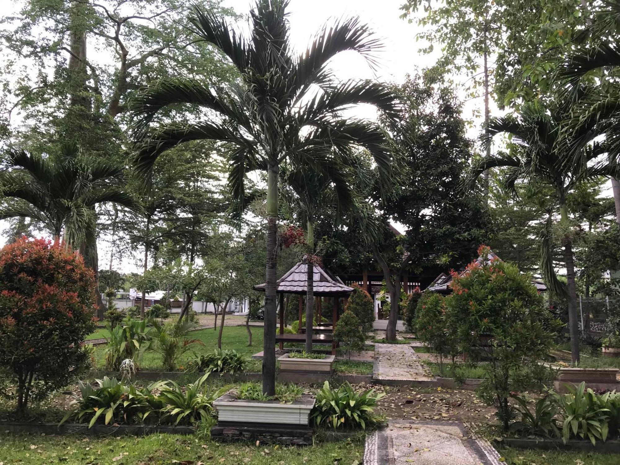 Pohon Purba Resort & Restaurant Labuhan Pandan Екстер'єр фото